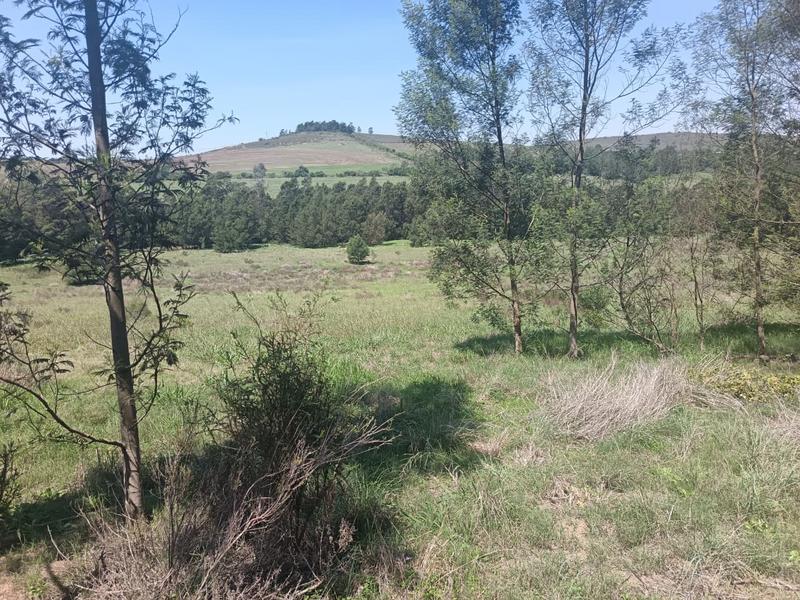 0 Bedroom Property for Sale in Albertinia Western Cape